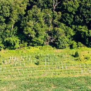 Meet your Posher, Maggie